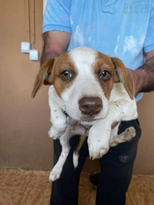 568719336 24984545361186055 1211217901279132702 n