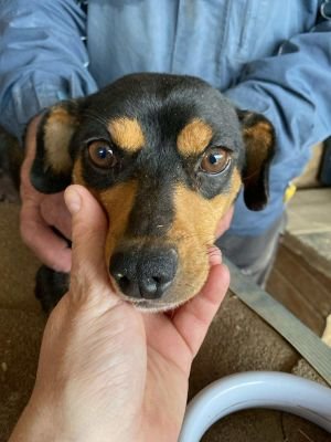 569176797 1959867778130080 5817949759793454929 n