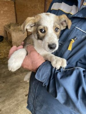 569182414 1531456954702796 4654352835434628852 n