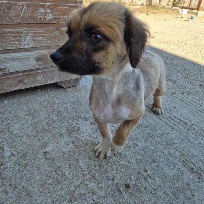 569210738 1585896145907925 4697401601854140945 n