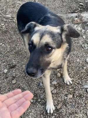 569584542 122109039555013990 6627698102983249091 n