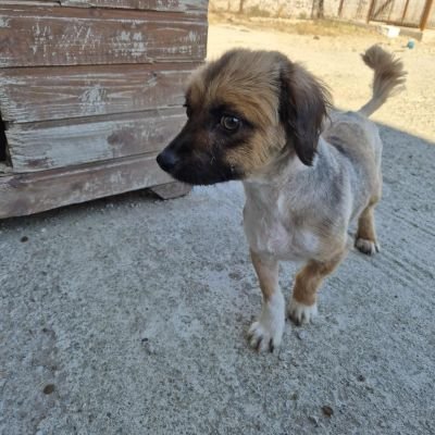 569762958 1176782887684671 817610452585888146 n