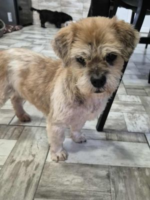 569826033 1562580141416406 5630143253076856213 n