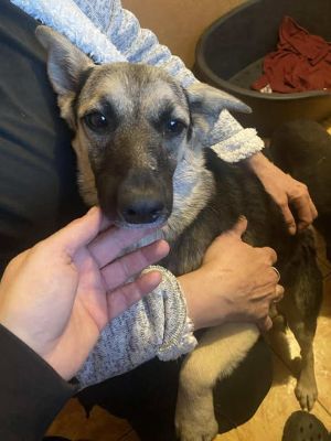 569923051 1503016250951291 3091447449418283511 n