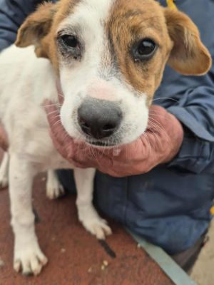 569932047 1437015137815585 8745786737523823084 n