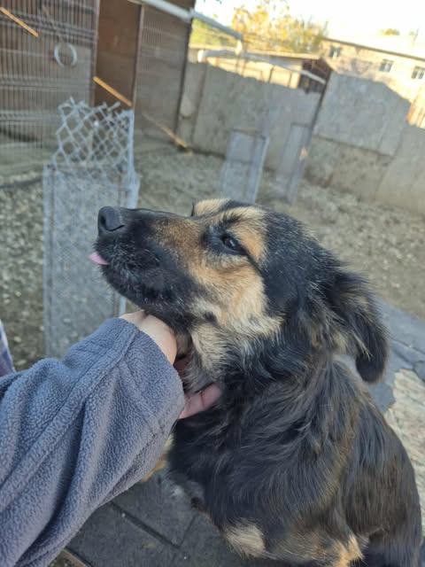 571173241 2658323334552152 1512641769239131853 n