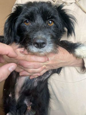 571328312 122109035835013990 1523459194460357095 n