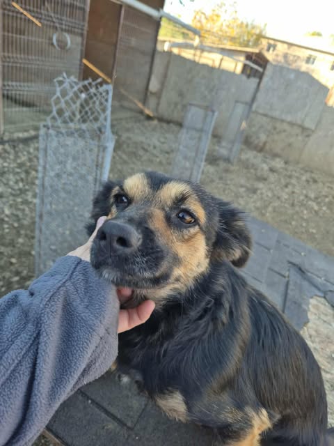 572108870 2658323331218819 1987862594931725628 n