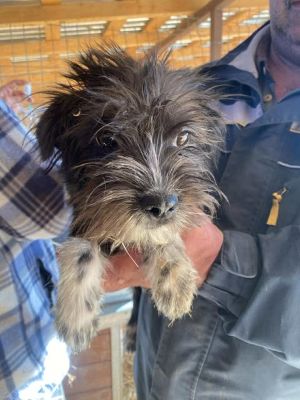 572781858 25090783260562264 656841418073505244 n