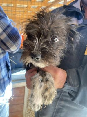 574466040 25090783960562194 8453733994668767700 n