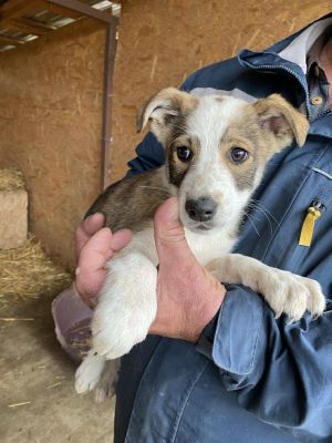 574800052 1700604180919298 6445618271526487533 n