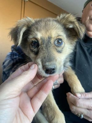 574800052 2046695836150392 1223087144620733098 n