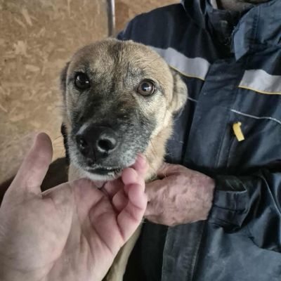 574935343 3097743087070265 8815517413111047331 n