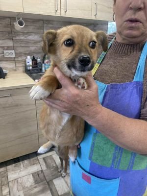 575098862 1202550638589859 9180485521694596762 n