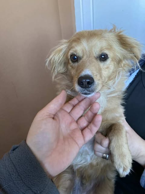 575111777 25127362966904293 2392402283553471325 n