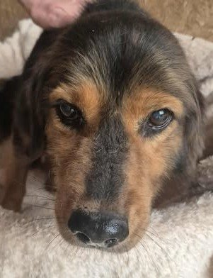 575196226 25127405443566712 5634424723552616977 n