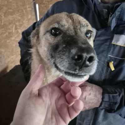 575366813 1870572100215854 6817485359392025384 n