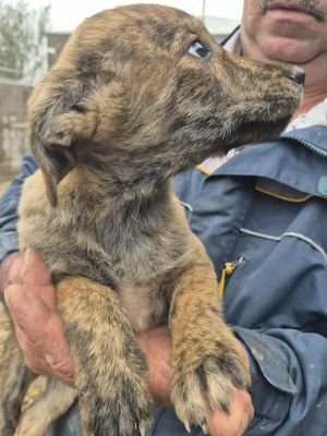 575453670 24320231184320417 950712943330012985 n