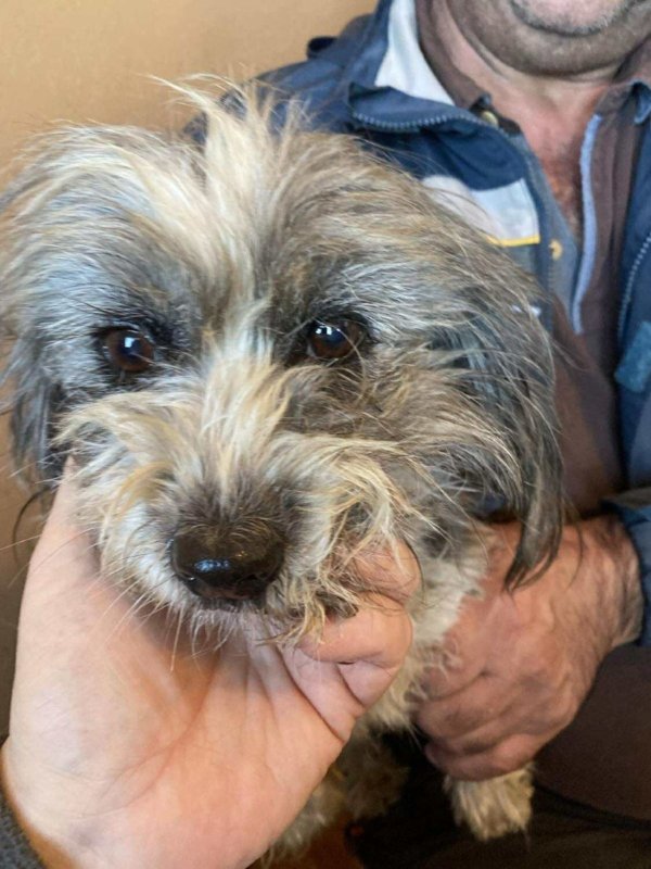 575525317 1532845337610415 7572464618140032488 n