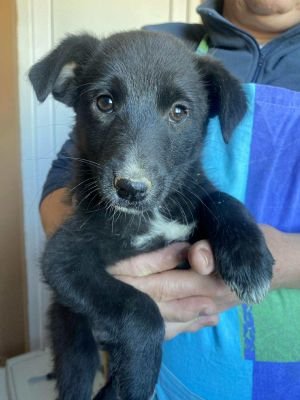 575613102 1589097478724896 1551250109149480760 n