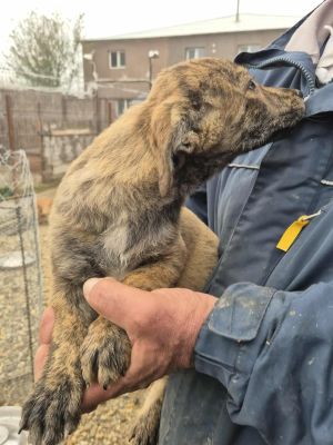 575647592 1163642388565031 2242880186179531448 n