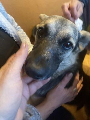 575672612 1588352545869436 6568768697010317554 n