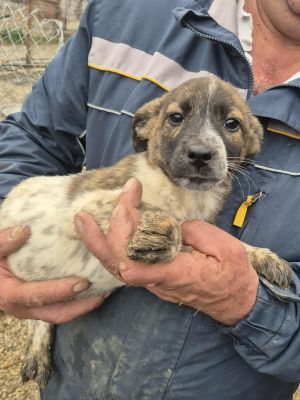 575880216 1502504594202527 1587611461512131073 n