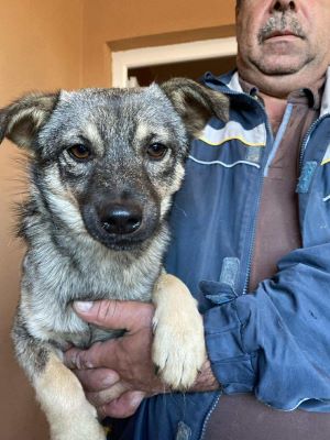 575961396 24967862159519560 248320364985425186 n