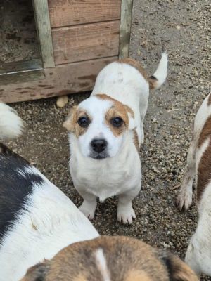 576144737 807904375419875 7983879969189360287 n