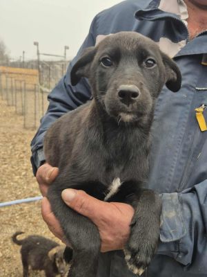 576168078 1161302052133351 8623871512930077088 n