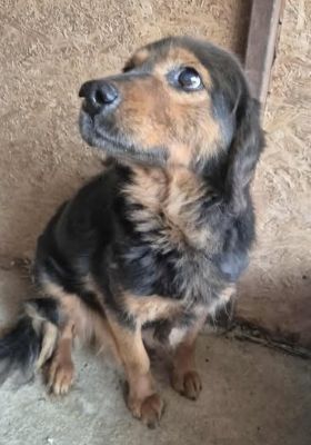 576270358 25127405566900033 8564936899768178492 n