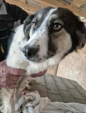 576302093 25146615408312382 3099216319771847602 n