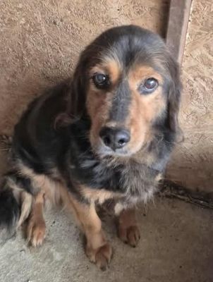 576345071 25127405836900006 1730920428409898799 n