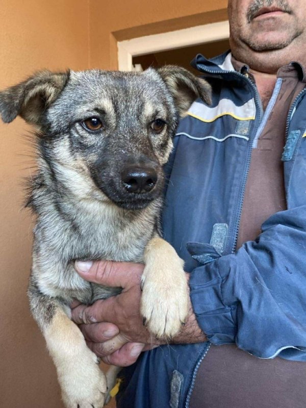 576351886 1523700025640583 5421756201438724634 n