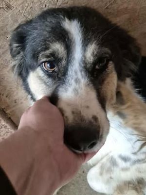 576386006 25146615414979048 5506814166947589877 n