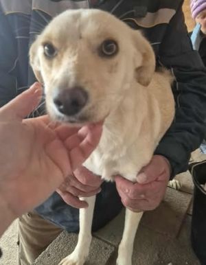 576425423 25147128958261027 3126126318570883104 n