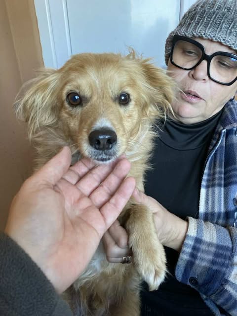 576849048 25127361980237725 5395771865151370281 n