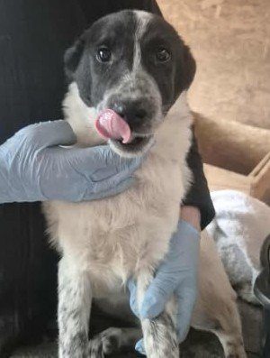 576883604 25156901333950456 2822571956857783027 n