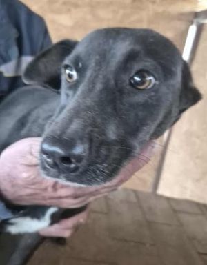 576887525 25146828888291034 3434772144269219047 n