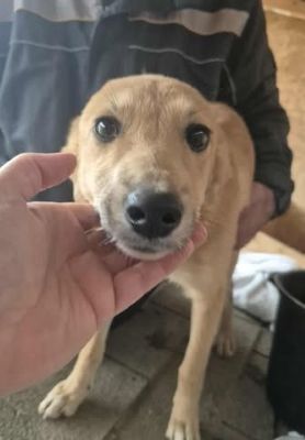 577016495 25157003540606902 5608504710649308808 n