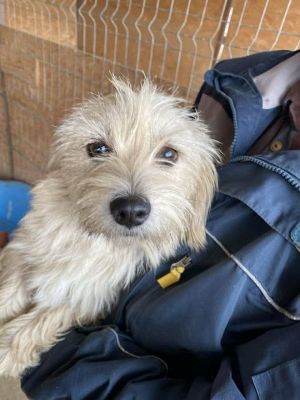 577016609 25157439040563352 3265484833700204269 n