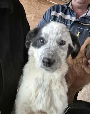 577017517 25157288700578386 8099090045256002361 n