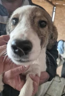 577018014 25157117073928882 5162510354753428263 n