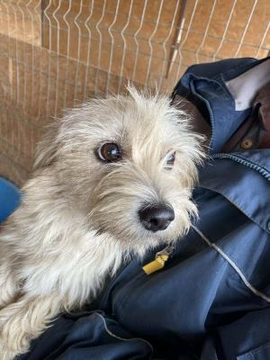 577018631 25157439043896685 6508878326930182400 n