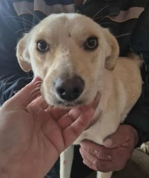 577027097 25147130341594222 6390011017823127788 n