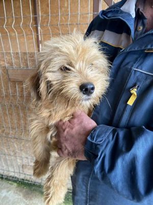 577031681 25157523080554948 5845479559494296106 n