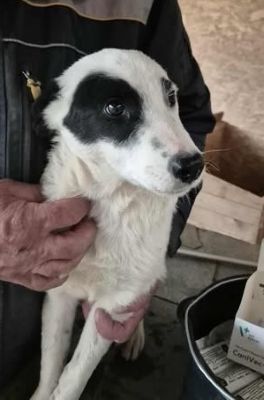 577031758 25157351763905413 7330412799991892341 n