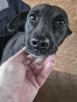 577036351 25146812654959324 8410001117234410948 n