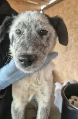 577036526 25157212613919328 1053697240271226060 n