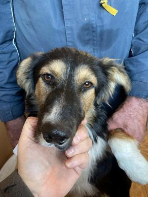 577037438 25194389396868316 3691633155320259526 n